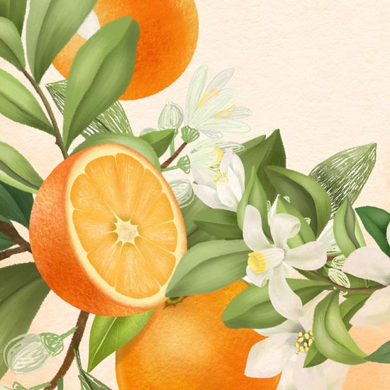 Oranges and Flowers on a light tan background